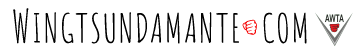 Wing Tsun Damante Logo